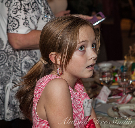 Ridgeview Girls of Grace 2014 Tea-4615