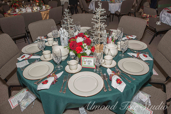 Ridgeview Girls of Grace 2014 Tea-4443